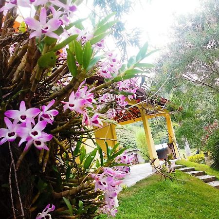 Casa Com Flores Công viên tiểu bang Pedra Azul Ngoại thất bức ảnh