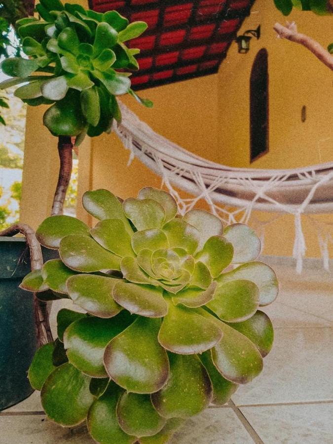 Casa Com Flores Công viên tiểu bang Pedra Azul Ngoại thất bức ảnh